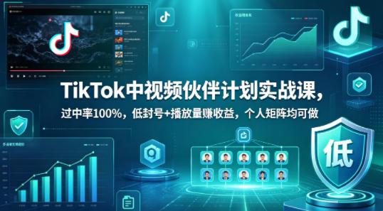 TikTok中视频伙伴计划实战课，过中率100%，低封号+播放量賺收益，个人矩阵均可做-课程网