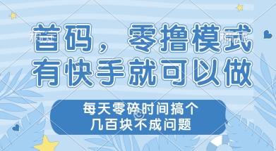 首码零撸项目，有快手就可以做，每天业务时间搞个几张不是问题【揭秘】-课程网