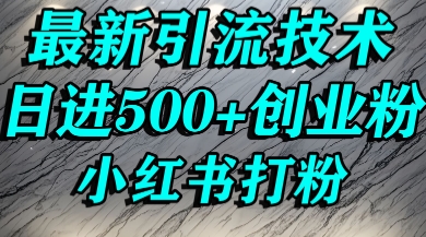 小红书精准引流创业粉，前辈求带孩子走投无路了，单人操作日引500+精准创业粉-课程网
