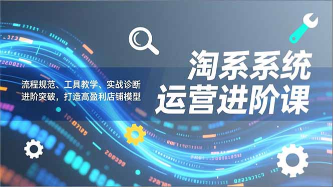 淘系系统运营进阶课2.0，流程规范、工具教学、实战诊断，进阶突破，打造高盈利店铺模型-课程网
