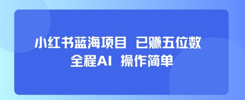 小红书蓝海项目，全程AI，操作简单，已挣五位数-课程网