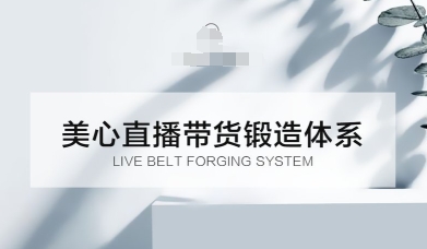 直播带货锻造体系课，5G时代美心一站式帮你开启直播带货之路【音频】-课程网
