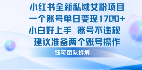 小红书全新私域女粉项目 单日变现1k+ 小白好上手账号不违规-课程网