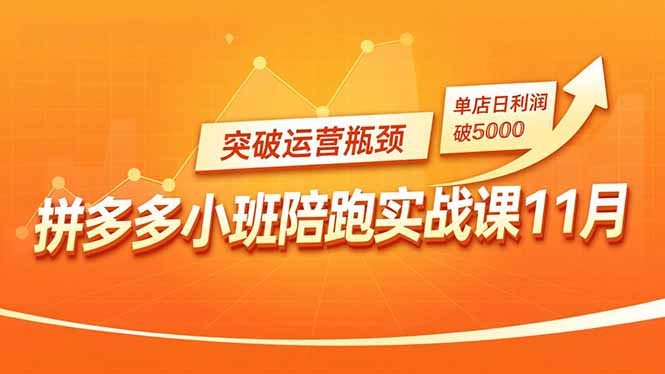 拼多多小班陪跑实战课11月，强付费矩阵、原价活动、暗券引流，突破运营瓶颈，单店日利润破5000-课程网