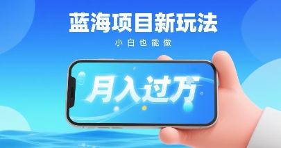 小红书蓝海项目新玩法，一部手机即可月入过W，推荐小白做非常简单认可度超高-课程网