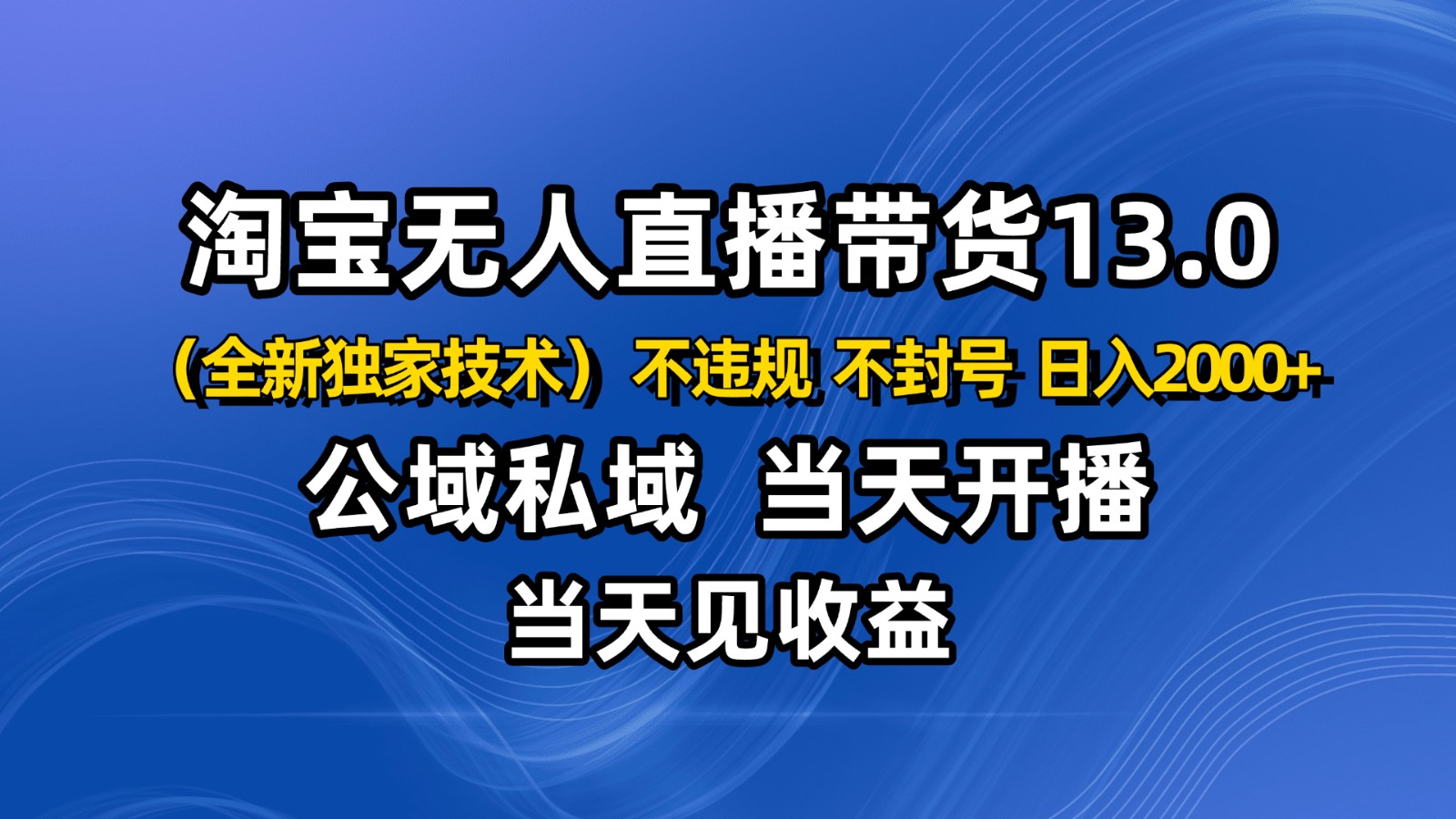 淘宝无人直播13.0，公域私域技术，不封号，不违规 布局下半年旺季赛道，日入2000+-课程网