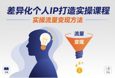差异化个人IP打造实操课程，实操流量变现方法-课程网