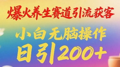 爆火养生赛道引流获客，小白无脑操作，日引200+-课程网
