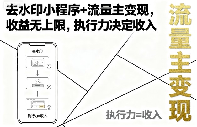 去水印小程序+流量主变现，收益无上限，执行力决定收入-课程网