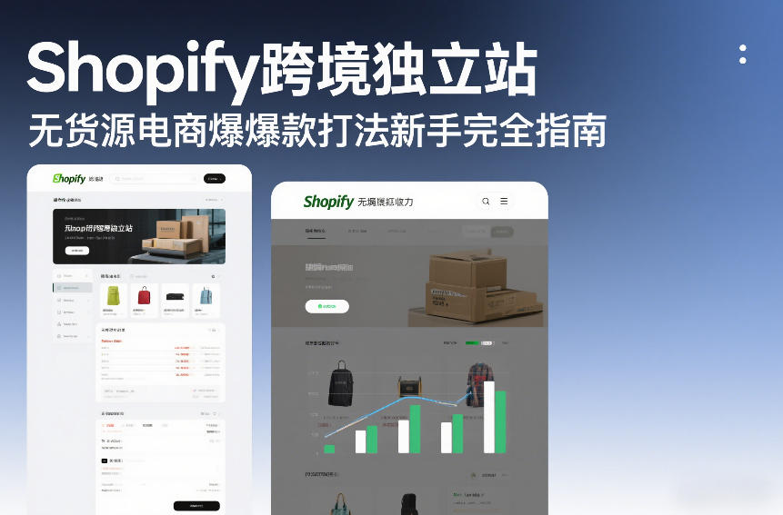 Shopify跨境独立站无货源电商爆款打法新手完全指南-课程网