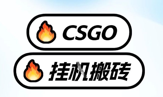 真全网独家CSGO挂G，最新玩法,单日捡漏1K+，不用电脑，不用打游戏【揭秘】-课程网
