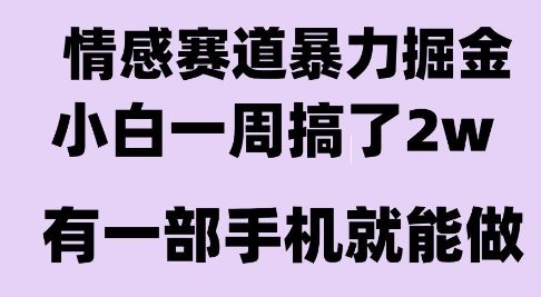情感暴力掘金项目，新人操作一周挣了2W，长期稳定小白可做【揭秘】-课程网
