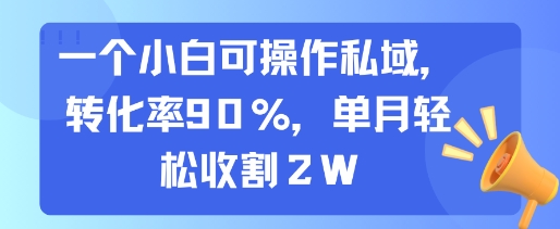 一个小白可操作私域，转化率90%，单月轻松收割2W-课程网