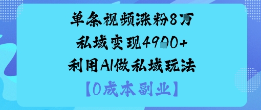 单条视频涨粉8W私域变现1k+利用AI做私域玩法-课程网