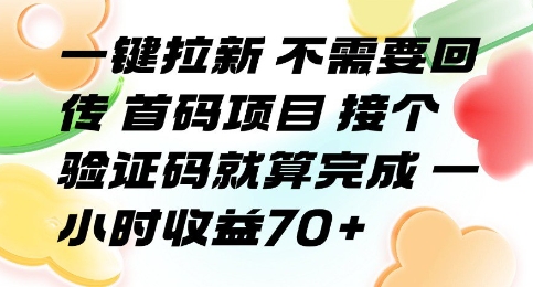 一键拉新 不需要回传 首码项目 接个验证码就算完成 一小时收益70+【揭秘】-课程网