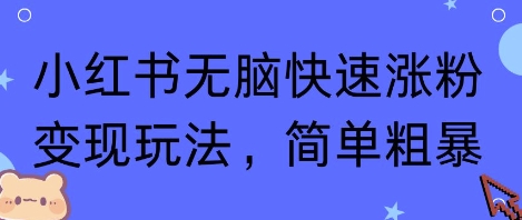 小红书无脑快速涨粉变现玩法，简单粗暴-课程网
