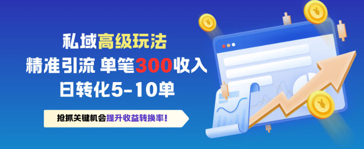私域高级玩法，精准引流，单笔3张收益，日转化5-10单-课程网