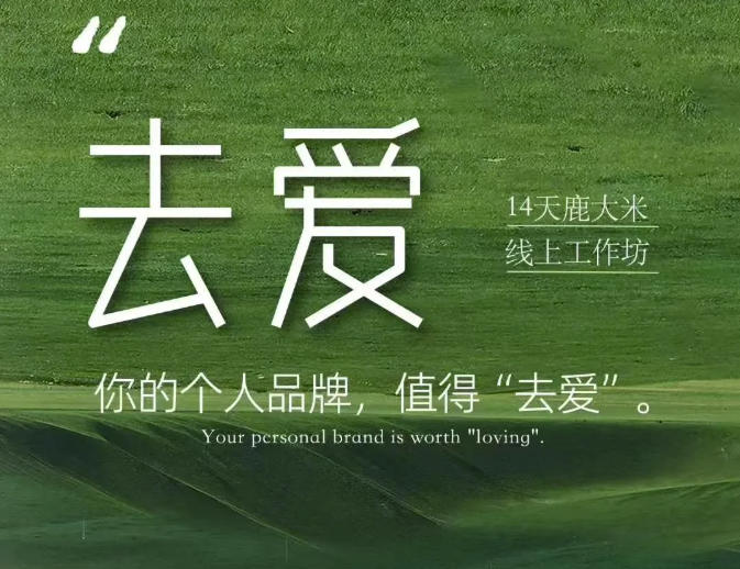 去爱14天鹿大米线上工作坊，你的个人品牌，值得“去爱”-课程网