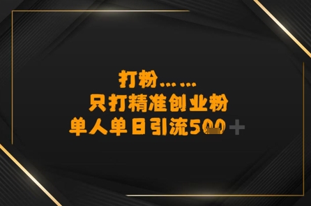 打粉只打精准创业粉，单人单日引流500+-课程网