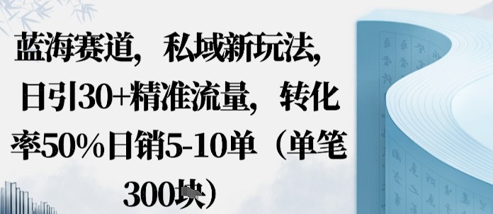 蓝海赛道，私域新玩法，日引30+精准流量，转化率50%日销5-10单（单笔3张）-课程网