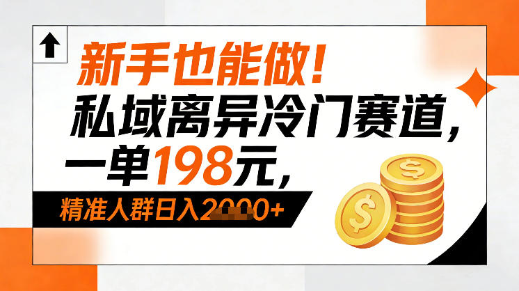 新手也能做！私域离异冷门赛道，一单198，精准人群日入1k+-课程网