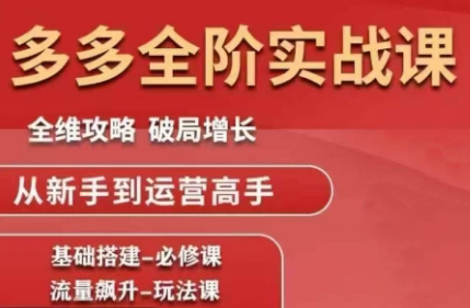大炮·拼多多全阶实战课程(更新2026)-课程网