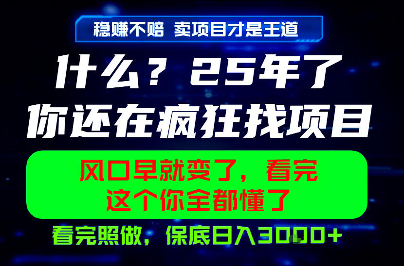 26年，请不要疯狂的找项目做了！卖项目才是真的稳賺不赔，看完照做，保底日入1k+【揭秘】-课程网