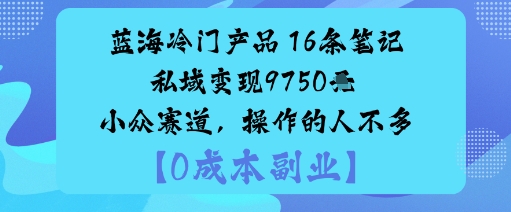 蓝海冷门产品：16条笔记私域变现9750米小众赛道，操作的人不多-课程网