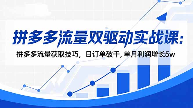 拼多多流量双驱动实战课：拼多多流量获取技巧，日订单破千,单月利润增长5w-课程网