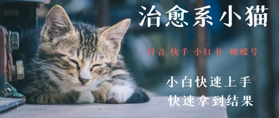 拆解，疯狂火爆！抖音，小红书，视频号小猫治愈的视频，轻松制作+快速拿到结果-课程网