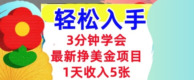 最新挣美金项目，日入5张，3分钟学会，小白轻松入手（长久的被动收入）-课程网