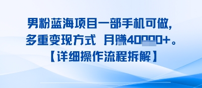 8月新男粉蓝海项目一部手机可做，多重变现方式 月入4W+【详细操作流程拆解】-课程网