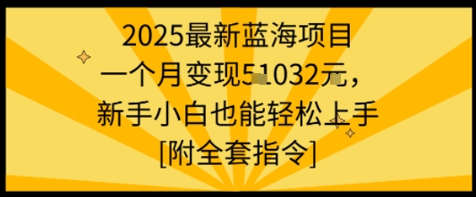 2025最新蓝海项目一个月变现1w+新手小白也能轻松上手【附全套指令】-课程网