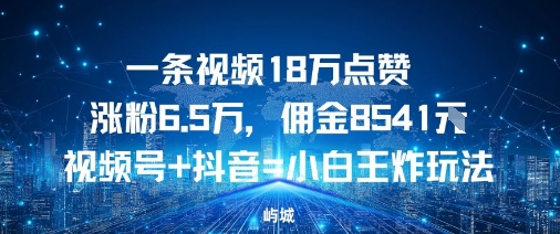 一条视频18W点赞涨粉6.5W，佣金8541视频号+抖音=小白王炸玩法-课程网