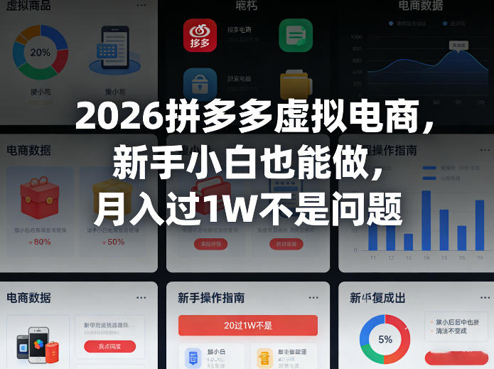 2026拼多多虚拟电商，新手小白也能做，月入过1W不是问题-课程网