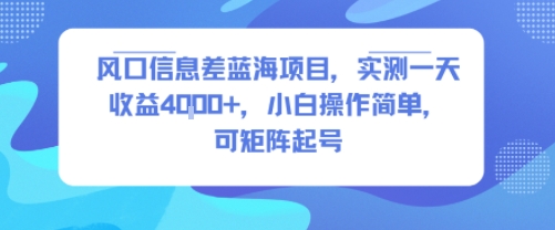 风口信息差蓝海项目，实测一天收益4k+，小白操作简单，可矩阵起号-课程网