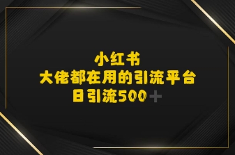 小红书，大佬都在用的大粉平台，日引流500+-课程网