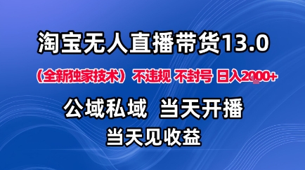 淘宝无人直播13.0，公域私域技术，不封号，不违规布局下半年旺季赛道，日入1K+（独家技术）【揭秘】-课程网