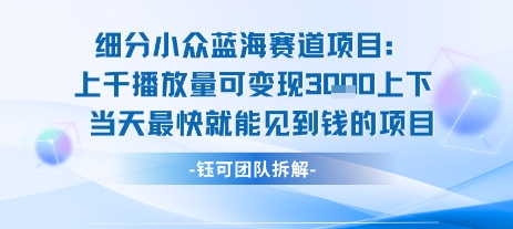 小众蓝海赛道项目：当天变现1k+适合新手操作 +适合长期玩-课程网