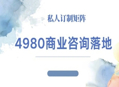 4980商业咨询师落地课程-ip运营高客单教程-课程网