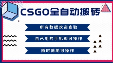 CSGO全自动搬砖，年底钱回家好项目，当天可拿到结果，新手小白轻松月入1W+【揭秘】-课程网