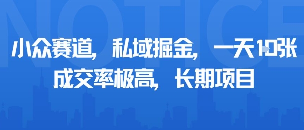 小众赛道，私域掘金，一天多张，成交率极高，长期项目-课程网