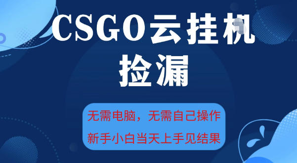 CSGO云挂G全自动捡漏，最新独家玩法，无需电脑操作，新手小白日入5张+【揭秘】-课程网