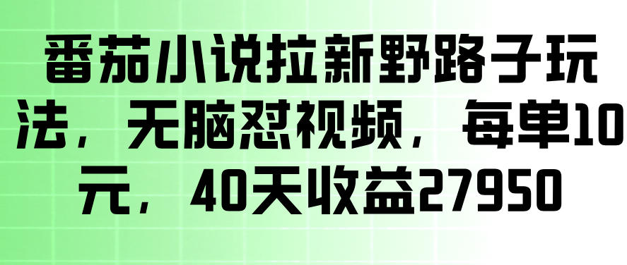 番茄小说拉新野路子玩法，无脑怼视频，玩法简单、见效快，每单10米，40天收益27950-课程网