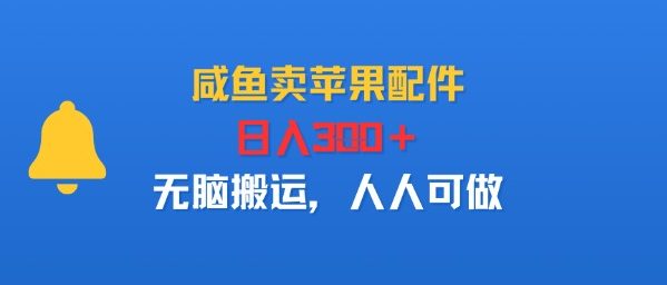 咸鱼卖苹果配件，日入3张+，无脑搬运，人人可做-课程网