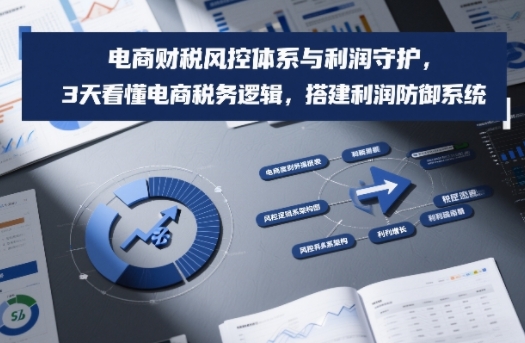 电商财税风控体系与利润守护，3天看懂电商税务逻辑，搭建利润防御系统-课程网