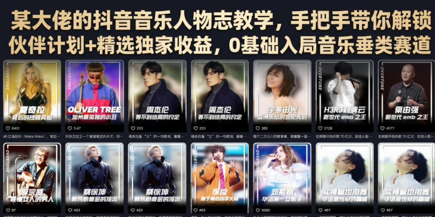 某大佬的抖音音乐人物志教学，手把手带你解锁伙伴计划+精选独家收益，0基础入局音乐垂类赛道-课程网