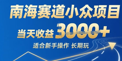 南海赛道小众项目，当天收益1k+适合新手操作可以长期玩-课程网