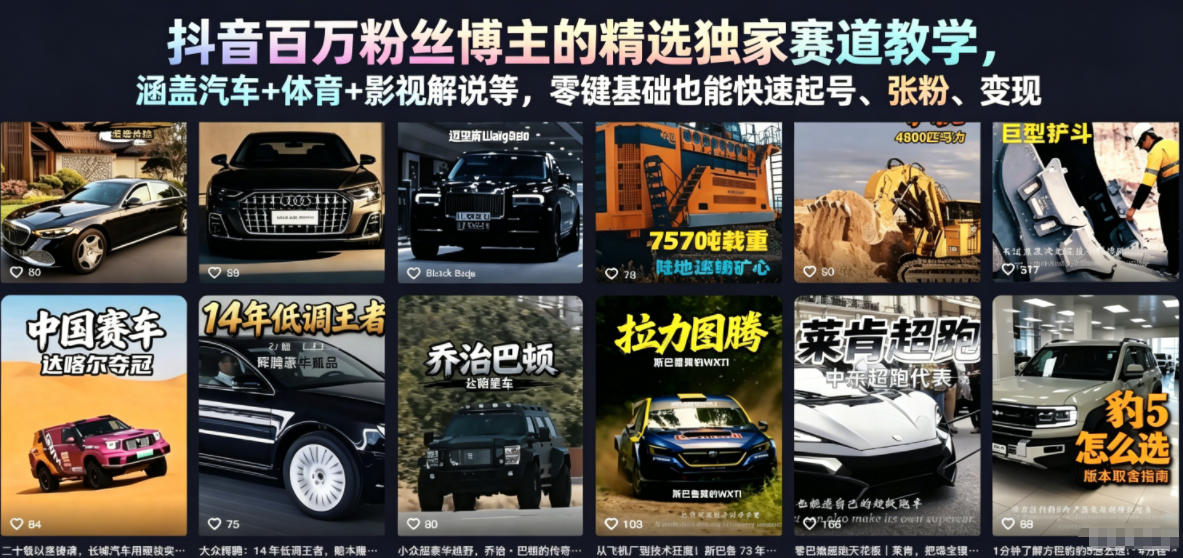 抖音百万粉丝博主的精选独家赛道教学，涵盖汽车+体育+影视解说等，零基础也能快速起号、涨粉、变现（更新0701）-课程网
