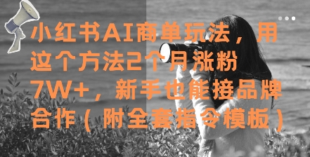 小红书AI商单玩法，用这个方法2个月涨粉7W+，新手也能接品牌合作(附全套指令模板)-课程网